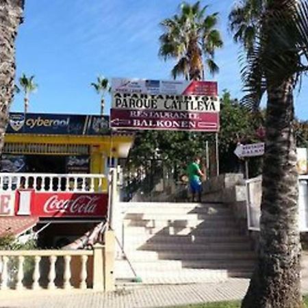 Parque Cattleya Tenerife Playa de las Americas  Zewnętrze zdjęcie