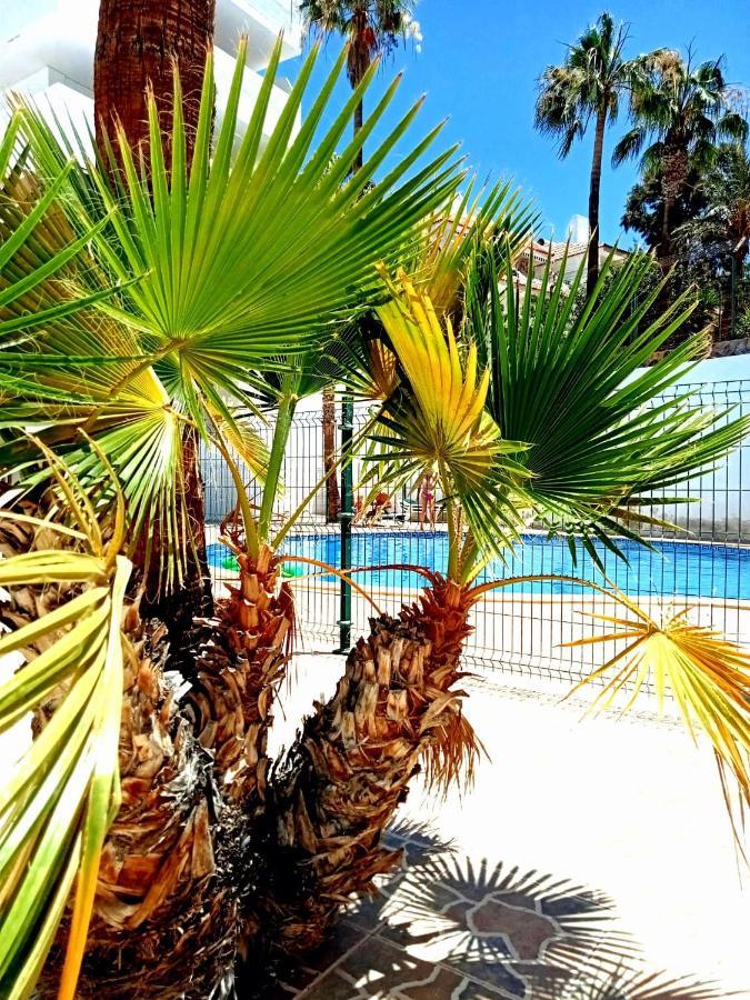 Parque Cattleya Tenerife Playa de las Americas  Zewnętrze zdjęcie
