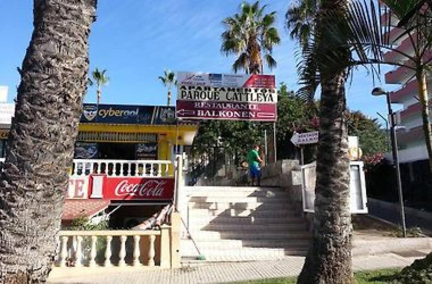 Parque Cattleya Tenerife Playa de las Americas  Zewnętrze zdjęcie